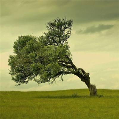 pg电子娱乐平台下载手机版