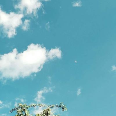 kok中欧登录入口app下载